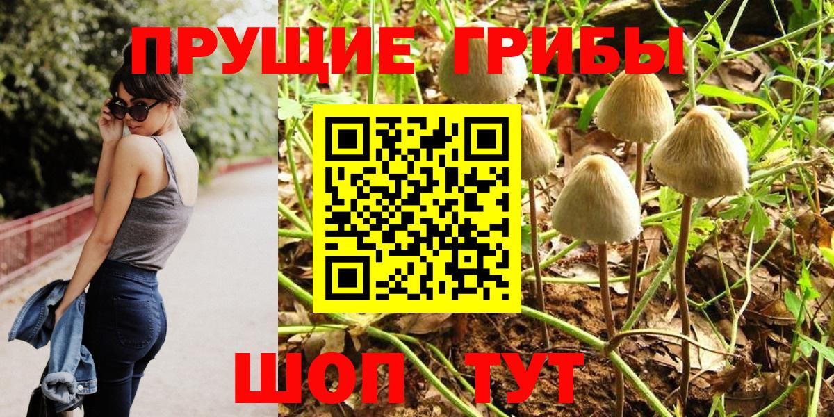 Сарапул  Галлюциногенные грибы ЛСД  Вход с VPN 
